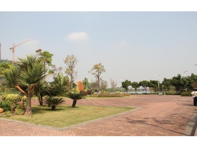 湖南(nán)株洲某公園景區